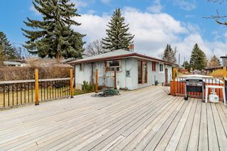 Photo 36: 1125 Trafford Drive NW in Calgary: Thorncliffe Detached for sale : MLS®# A1201943