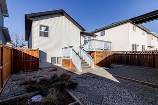 Photo 32: 266 Silver Springs Way NW: Airdrie Detached for sale : MLS®# A1181497