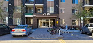 Photo 2: 401 7130 80 Avenue NE in Calgary: Saddle Ridge Apartment for sale : MLS®# A1215251