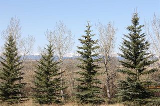 Photo 9: 255073 Glenbow Road in Rural Rocky View County: Rural Rocky View MD Residential Land for sale : MLS®# A2126705
