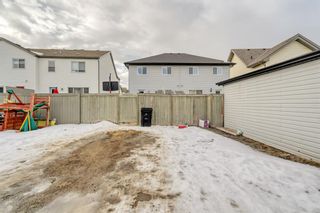 Photo 32: 64 Copperpond Road SE in Calgary: Copperfield Semi Detached (Half Duplex) for sale : MLS®# A2021798