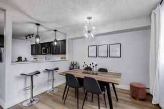 Photo 4: 405 225 25 Avenue SW in Calgary: Mission Apartment for sale : MLS®# A2125995