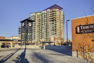 Photo 32: 2107 8710 Horton Road SW in Calgary: Haysboro Apartment for sale : MLS®# A2017096