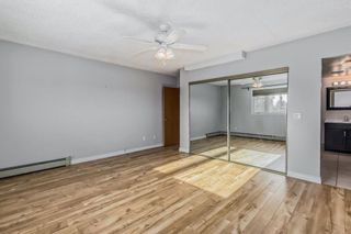 Photo 15: 406 333 2 Avenue NE in Calgary: Crescent Heights Apartment for sale : MLS®# A2088770