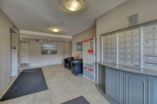 Photo 8: 107 380 Marina Drive: Chestermere Apartment for sale : MLS®# A1028134
