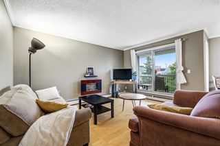 Photo 5: 301 1721 13 Street SW in Calgary: Lower Mount Royal Apartment for sale : MLS®# A1137604