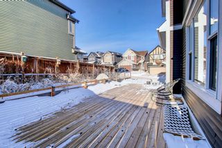 Photo 41: 23 Sherwood Square NW in Calgary: Sherwood Detached for sale : MLS®# A1166752