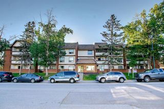 Photo 1: 101 1712 38 Street SE in Calgary: Forest Lawn Apartment for sale : MLS®# A1242140