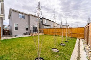 Photo 30: 50 Sage Bluff Rise NW in Calgary: Sage Hill Detached for sale : MLS®# A2132119