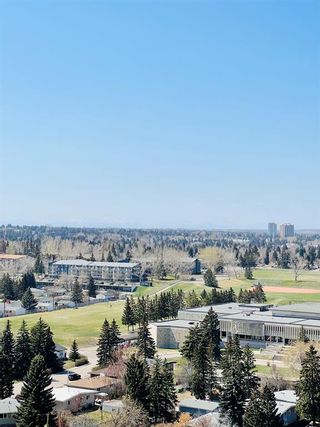Photo 31: 1520 8710 Horton Road SW in Calgary: Haysboro Apartment for sale : MLS®# A2045043