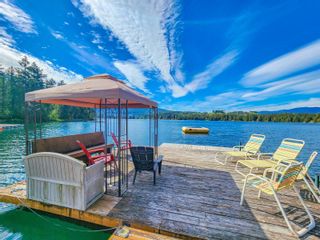 Photo 86: 10087 Blower Rd in Port Alberni: PA Sproat Lake House for sale : MLS®# 932359
