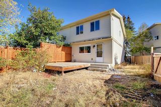 Photo 44: 138 Castlebrook Rise NE in Calgary: Castleridge Semi Detached (Half Duplex) for sale : MLS®# A2006589