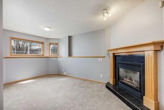 Photo 23: 1525 Big Springs Way SE: Airdrie Detached for sale : MLS®# A2127386