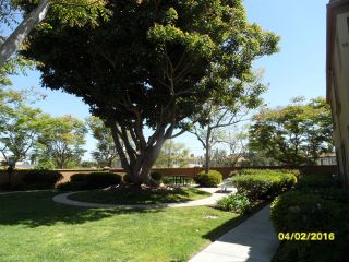 Photo 19: LINDA VISTA Condo for sale : 3 bedrooms : 2012 Coolidge St #93 in San Diego