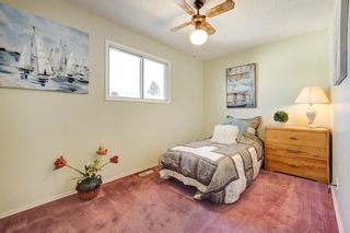 Photo 9: 3431 30A Avenue SE in Calgary: Dover Detached for sale : MLS®# A1200936