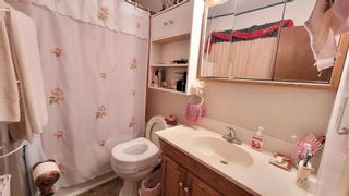 Photo 16: 23 ELLICE Avenue in Steinbach: R16 Residential for sale : MLS®# 202226420