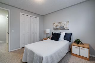 Photo 17: 43 Doverdale Mews SE in Calgary: Dover Row/Townhouse for sale : MLS®# A1052608