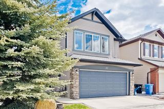 Photo 41: 32 Cougar Ridge Link SW in Calgary: Cougar Ridge Detached for sale : MLS®# A1219383