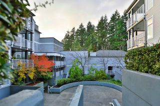 Photo 19: 20 7345 SANDBORNE Avenue in Burnaby: South Slope Townhouse for sale in "SANDBORNE WOODS" (Burnaby South)  : MLS®# R2009318