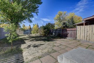 Photo 4: 51A Fonda Green SE in Calgary: Forest Heights Semi Detached (Half Duplex) for sale : MLS®# A2002293
