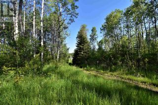 Photo 29: BOURGON ROAD in Smithers: Vacant Land for sale : MLS®# R2700048