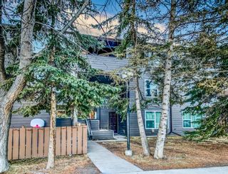 Photo 20: 7 801 6TH Street: Canmore Apartment for sale : MLS®# A1052256