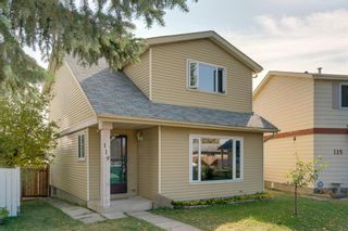 Photo 2: 119 Erin Dale Place SE in Calgary: Erin Woods Detached for sale : MLS®# A1038168