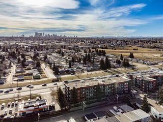 Photo 1: 215 335 Garry Crescent NE in Calgary: Greenview Apartment for sale : MLS®# A2093775