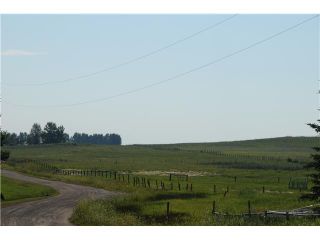 Photo 4: 262034 80 St E in DE WINTON: Rural Foothills M.D. Rural Land for sale : MLS®# C3631916