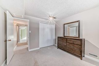 Photo 18: 440 Cantrell Drive SW in Calgary: Canyon Meadows Detached for sale : MLS®# A2113412