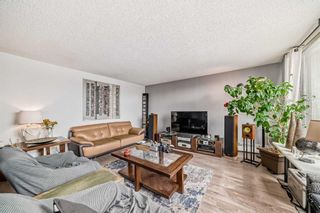 Photo 12: 913 8604 48 Avenue NW in Calgary: Bowness Apartment for sale : MLS®# A2126675