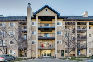 Main Photo: 3105 4975 130 Avenue SE in Calgary: McKenzie Towne Apartment for sale : MLS®# A2095792