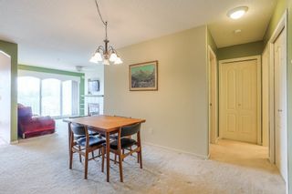 Photo 6: 405 22022 49 AVENUE in Langley: Murrayville Condo for sale : MLS®# R2449984