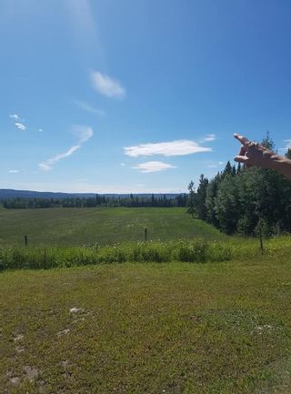 Photo 7: 23200 S MCBRIDE TIMBER Road in Prince George: Upper Mud House for sale (PG Rural West (Zone 77))  : MLS®# R2354955