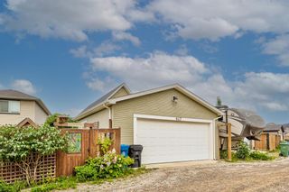 Photo 44: 467 Cranberry Circle SE in Calgary: Cranston Detached for sale : MLS®# A1132288