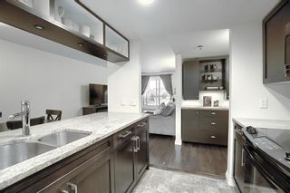 Photo 12: 204 2011 UNIVERSITY Drive NW in Calgary: University Heights Apartment for sale : MLS®# C4305670
