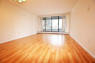 Photo 1: 505 6595 WILLINGDON AVENUE in Burnaby: Metrotown Condo for sale (Burnaby South)  : MLS®# R2539409