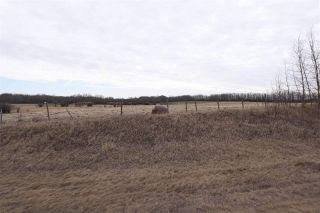 Photo 6: TWP 481 HWY 795: Rural Leduc County Rural Land/Vacant Lot for sale : MLS®# E4244581