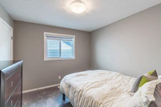 Photo 29: 260 Nolancrest Heights NW in Calgary: Nolan Hill Detached for sale : MLS®# A1117990