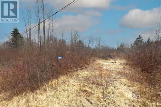Main Photo: 186 Walker RD in Sackville: Vacant Land for sale : MLS®# M158466