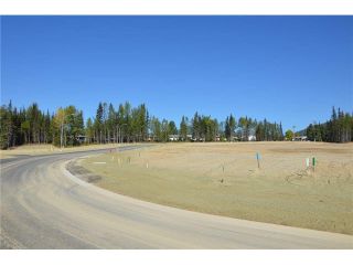 Photo 19: LOT 4 BELL Place in Mackenzie: Mackenzie -Town Land for sale in "BELL PLACE" : MLS®# N227296