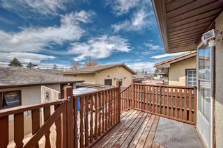 Photo 35: 3816 Dover Ridge Drive SE in Calgary: Dover Detached for sale : MLS®# A2124560