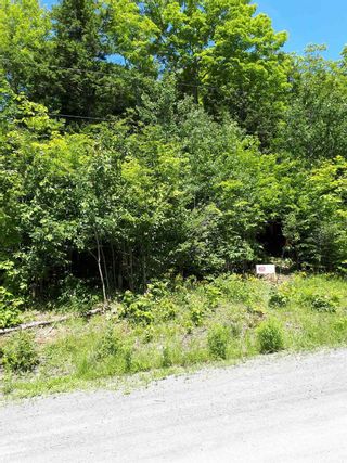 Photo 6: Meiklefield Road in Meiklefield: 108-Rural Pictou County Vacant Land for sale (Northern Region)  : MLS®# 202117504