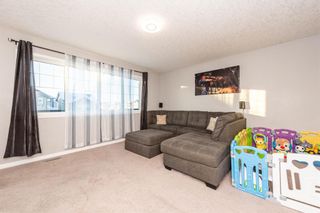 Photo 23: 20 Hillcrest Link SW: Airdrie Detached for sale : MLS®# A2020302
