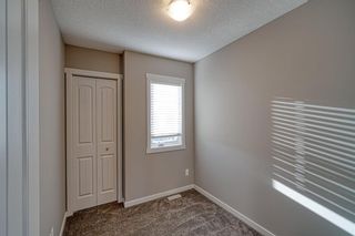Photo 17: 20 Cornerbrook Gate NE in Calgary: Cornerstone Semi Detached (Half Duplex) for sale : MLS®# A1258791