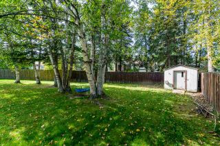 Photo 18: 8077 PRINCETON Crescent in Prince George: Lower College House for sale (PG City South (Zone 74))  : MLS®# R2471494