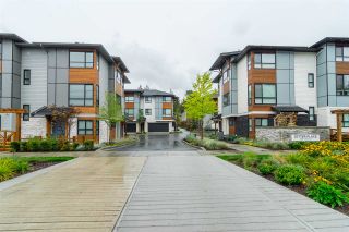 Photo 20: 38 8508 204 Street in Langley: Willoughby Heights Townhouse for sale in "Zetter Place" : MLS®# R2308737
