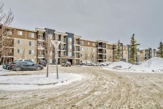 Photo 34: 303 7180 80 Avenue NE in Calgary: Saddle Ridge Apartment for sale : MLS®# A2023419
