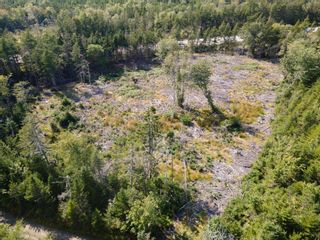 Photo 46: Lot Killam Road in Hillview: County Hwy 1 Vacant Land for sale (Yarmouth)  : MLS®# 202310691
