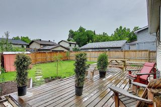 Photo 25: 52 Mckenna Road SE in Calgary: McKenzie Lake Detached for sale : MLS®# A1114458